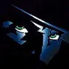 The_shadow