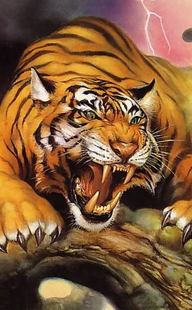 1236586-58244-lilsoultiger007