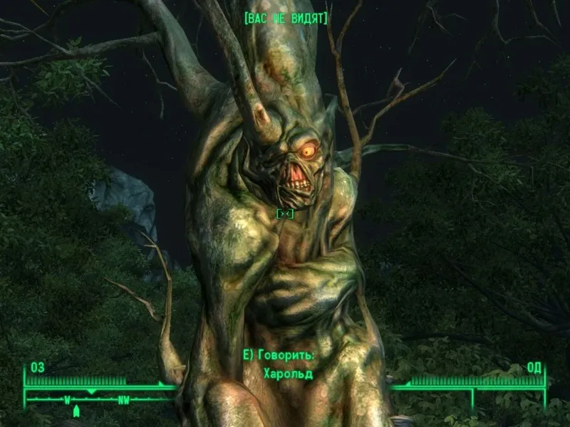 Harold2.jpg